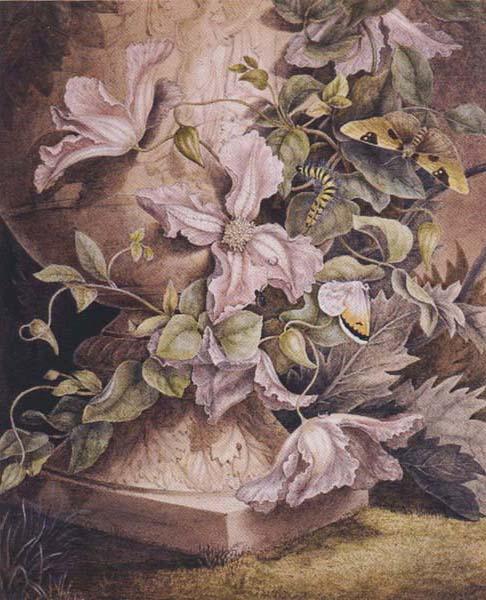 Mrs Theodore Henry Fielding Still-life (mk47) oil painting image